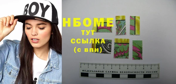 хмурый Алзамай