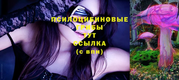 хмурый Алзамай