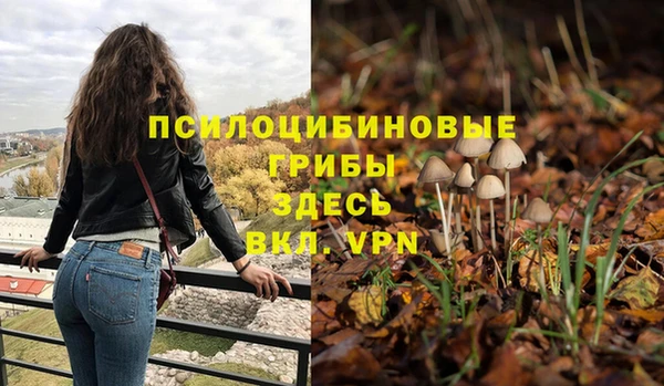кристаллы Алексин