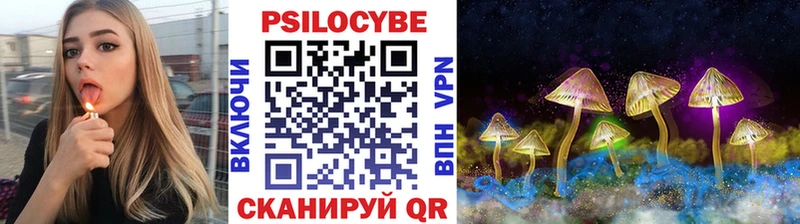Псилоцибиновые грибы мицелий продажа наркотиков Переславль-Залесский